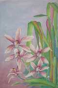 aa_watercolour_orchids