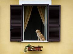 Gaeta_GB251629