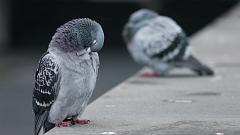 P1080620