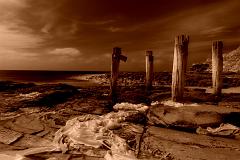 ga_Otways_2K0C4866_dc