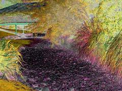 ga_RiverBedInPark