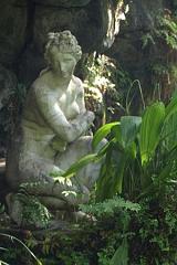 Caserta_GB241569
