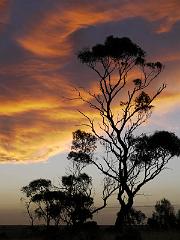 SthAustralia