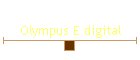Olympus E digital