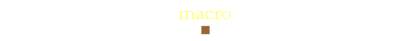 macro