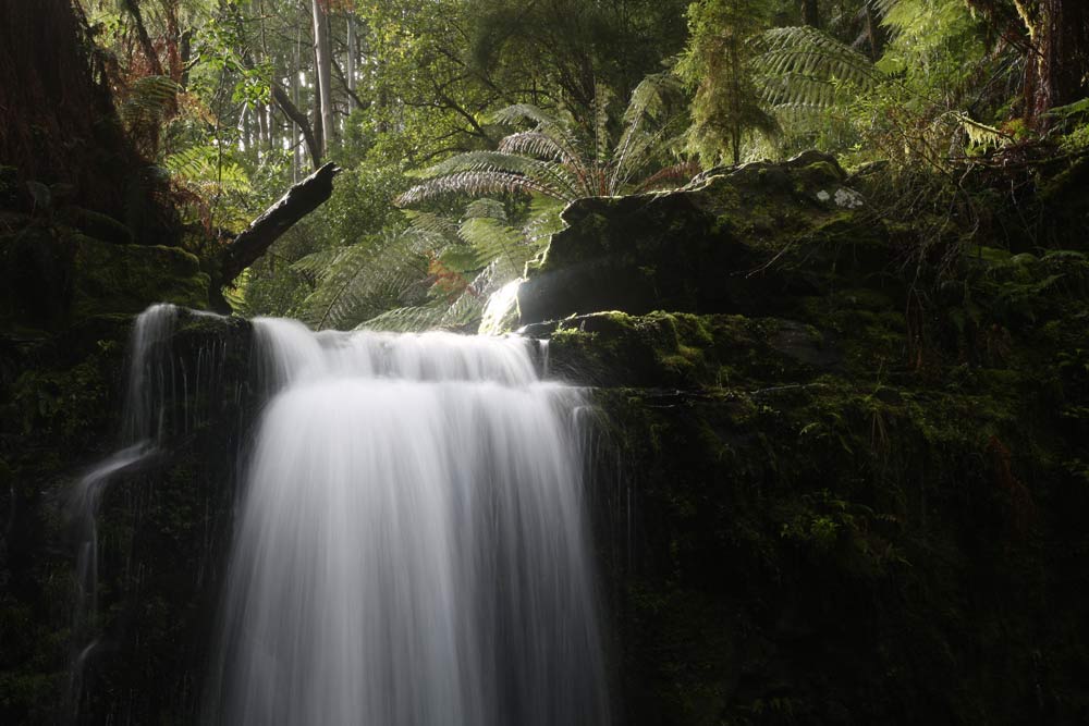 ga_Otways_2K0C6559.jpg - Marriner Falls, Victoria