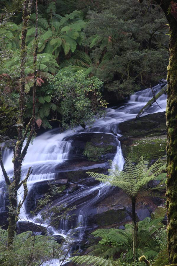 ga_Otways_2K0C6682.jpg - Triplet Falls, Otways, Victoria near dusk.
