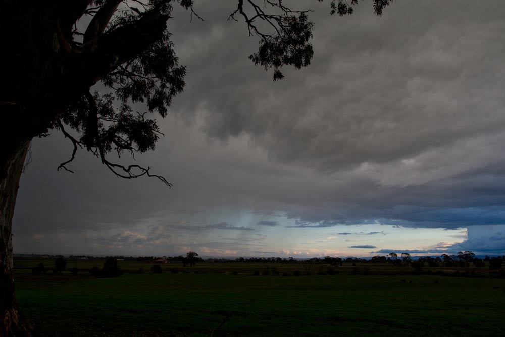 storm_2K0C7126.jpg