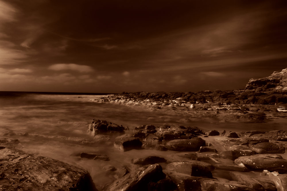 ga_Otways_2K0C4868_dc.jpg - Digital infrared photo of Victoria's Otways.