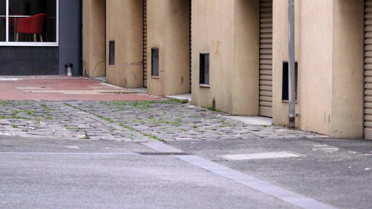 P1010735.jpg - OM 100mm f/2.8 lens at f/4?, ISO 400, 1/250th sec hand held no IS. AWB. No PS except minimal contrast adjustment.