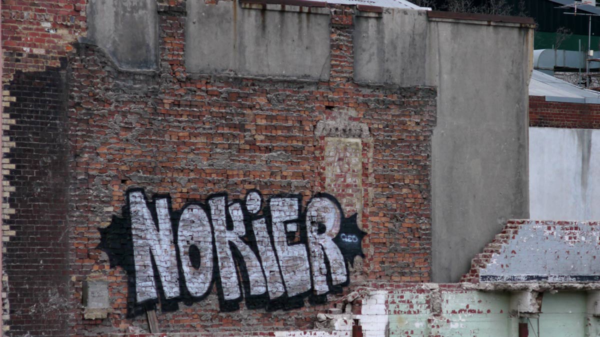 P1010747.jpg - OM 100mm f/2.8 lens at f/2.8, ISO 400, 1/640th sec hand held no IS. AWB. No PS except minimal contrast adjustment.