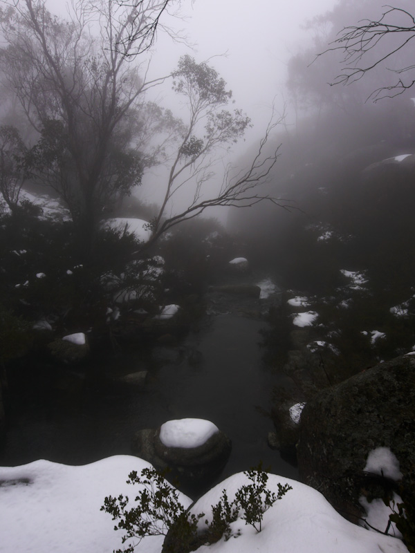 P1150789-1.JPG
