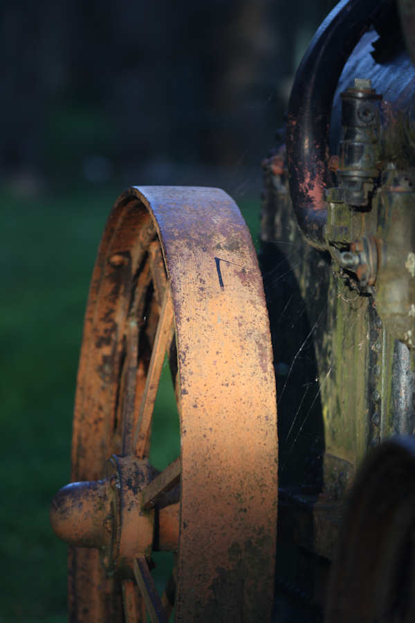 2K0C6348.jpg - Comparison with Canon 1D mark III with EF 135mm f/2.0L lens at F/2.0 from same distance, no PS
