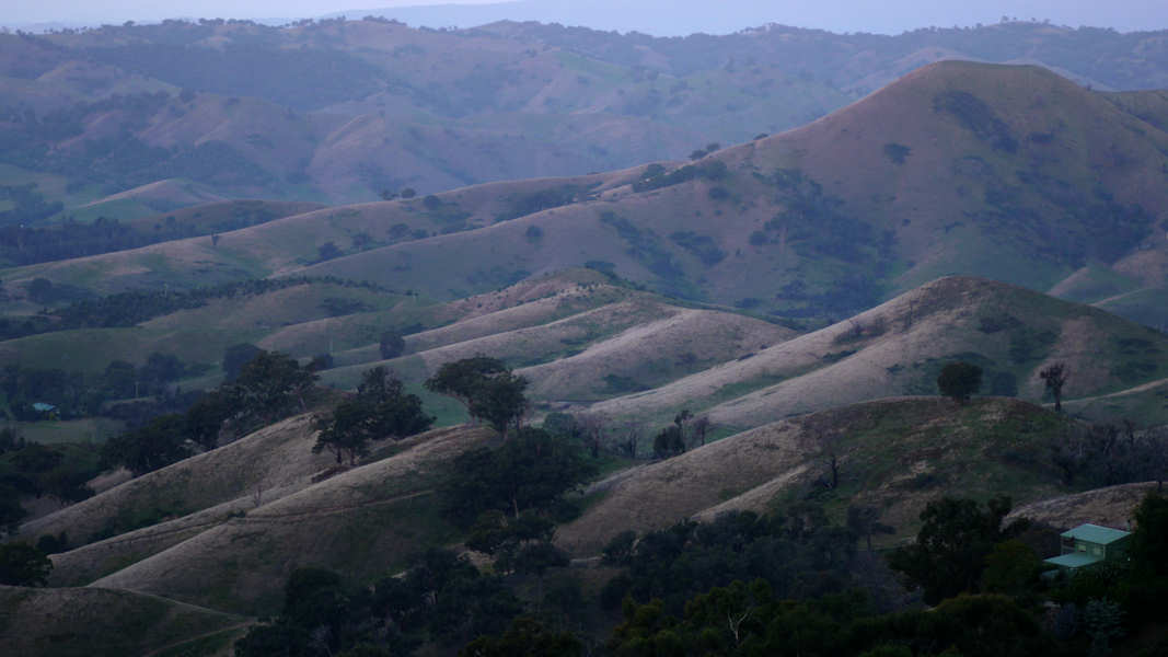 P1130160.jpg - Victorian landscape