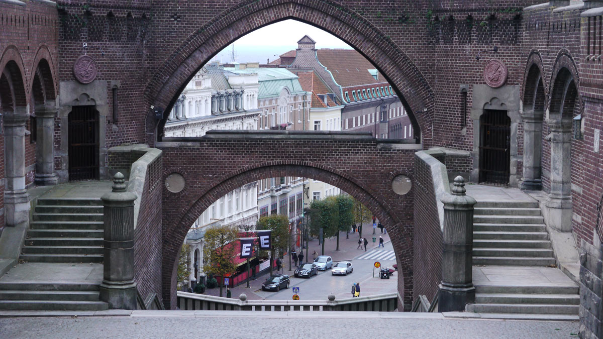 P1100923.jpg