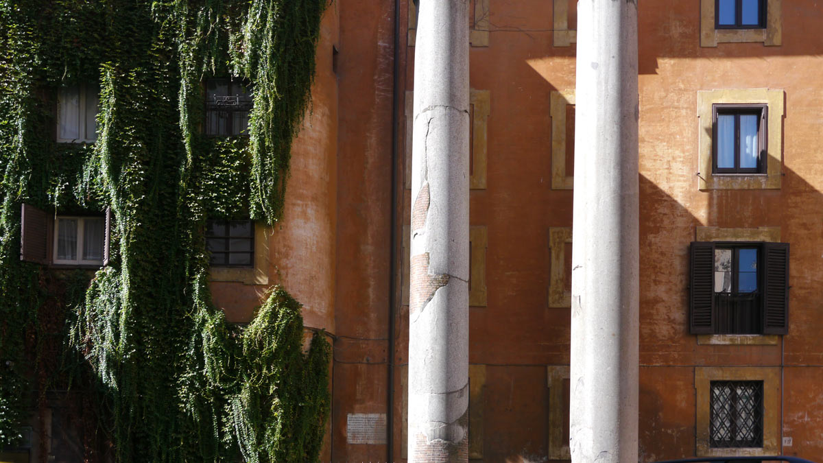 P1090073a.jpg
