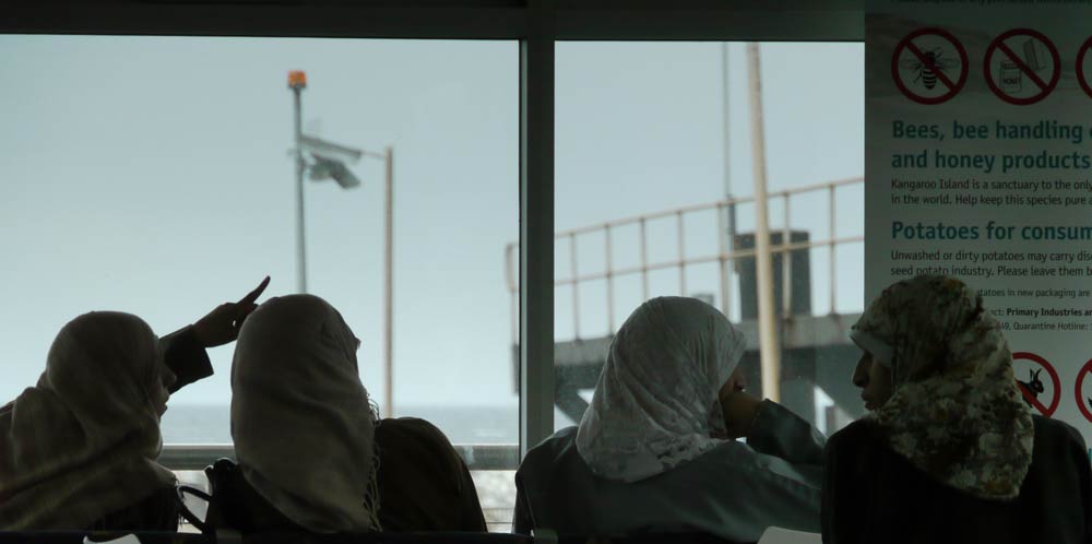 P1030954.jpg - and no... you CAN'T take bees across to Kangaroo Island with you!