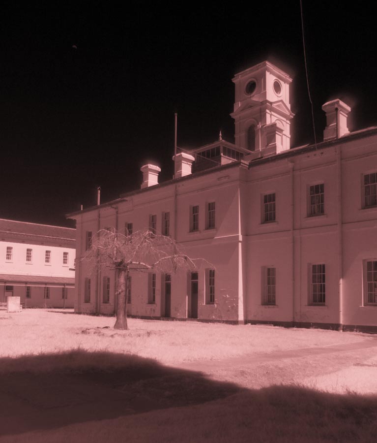 2K0C9348.jpg - digital infrared. asylum in summer. even the standard cherry has died with the long drought.