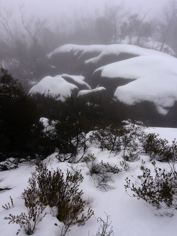 P1150774-1.JPG