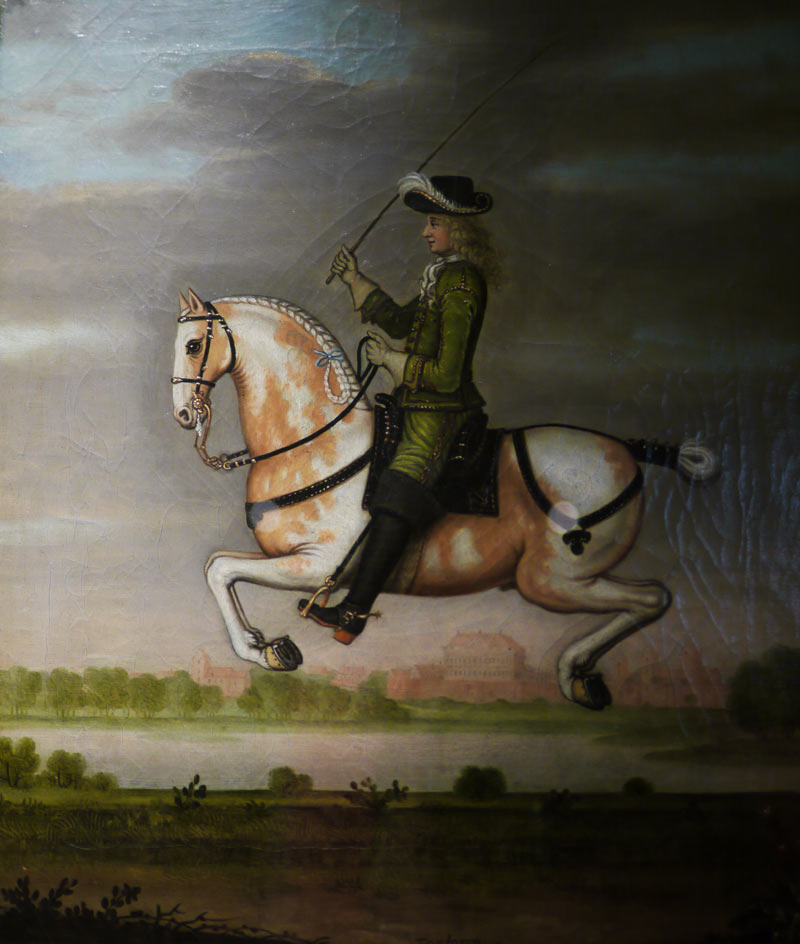 P1110563.jpg - 1690 - royal horsemanship