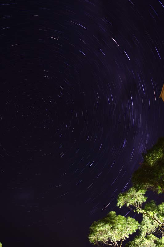 StarTrails_20min_2K0C6536.jpg - South Celestial Pole. 20 minute exposure, f/5.6, ISO 100 using Canon 1DMIII with 24-105mmL lens, no dark frame, no PS. Note Centaurus and Crux in top right.