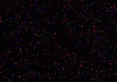 www.ayton.id.au_gary_astro_olympuse330_olye330_5min800isononrfullc.jpg www.ayton.id.au_gary_astro_olympuse330_olye330_5min800isononrfullc.jpg