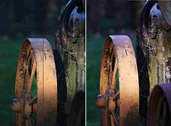 CanonGH1_Shootout3