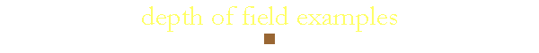 depth of field examples