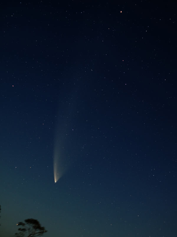 ga_CometMcN_20070128_100mm.jpg