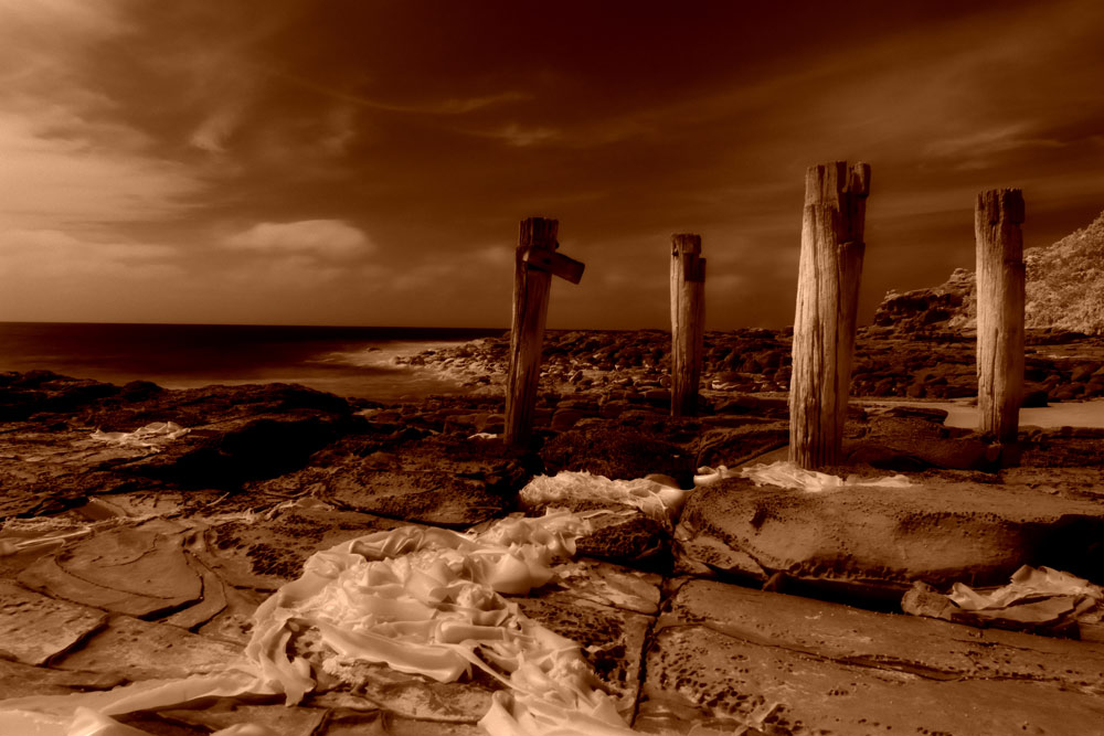ga_Otways_2K0C4866_dc.jpg - Great Ocean Road, Victoria