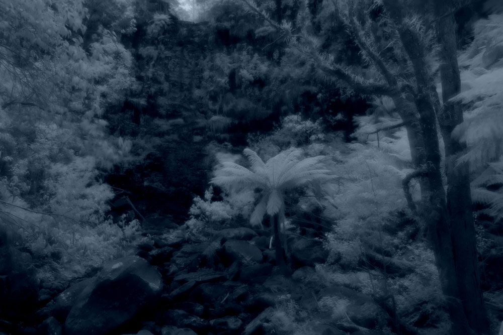 ga_Otways_2K0C4889_ss.jpg - Erskine Falls, Lorne in infrared hiding the summer trickle of water