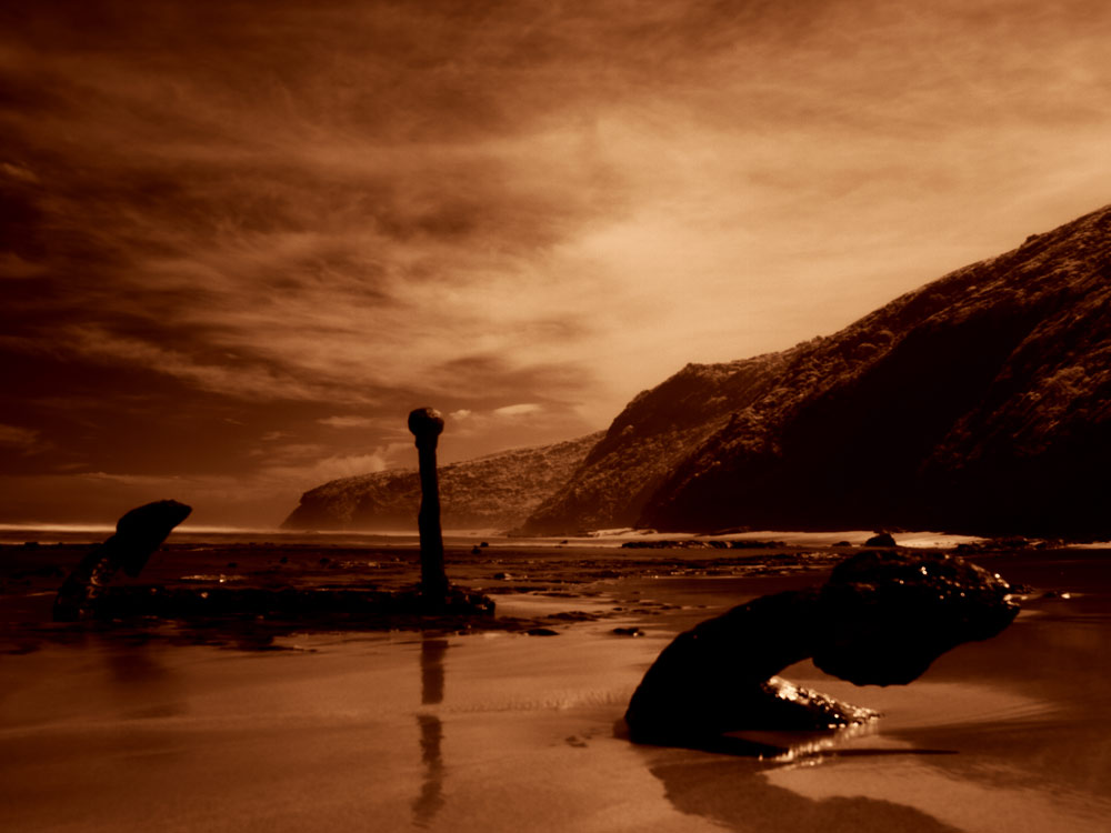 ga_Otways_GB120995_dc1.jpg - Great Ocean Road, Victoria