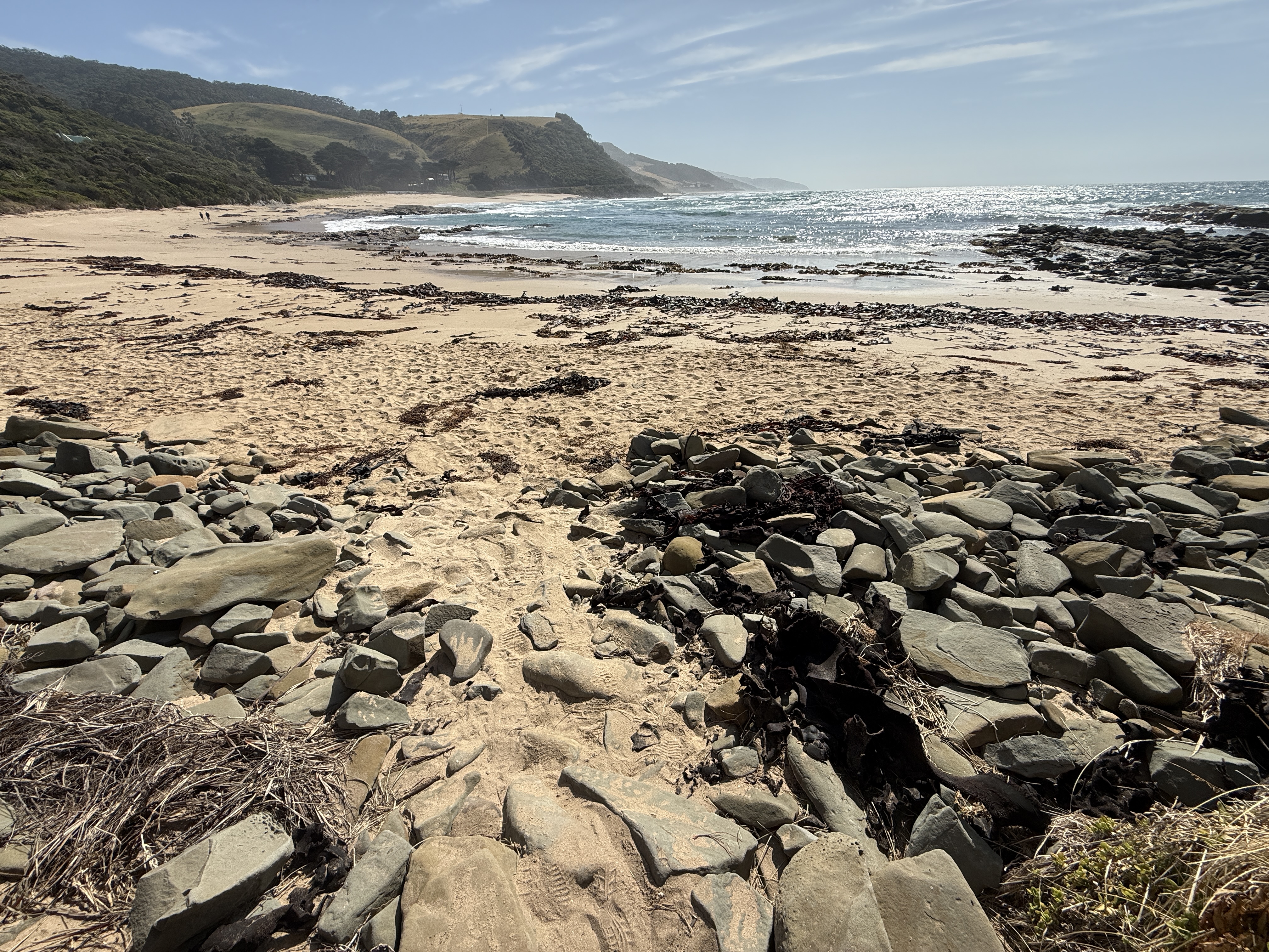 www.ayton.id.au_gary_photos_victoria_gor_petticoatcreekimg_1252.jpg